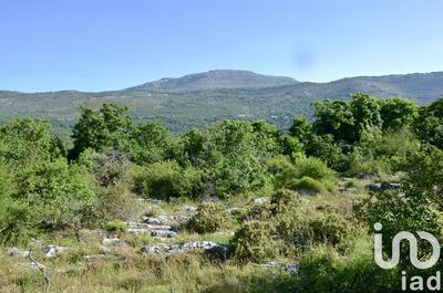 Terrain - 17 300 m²