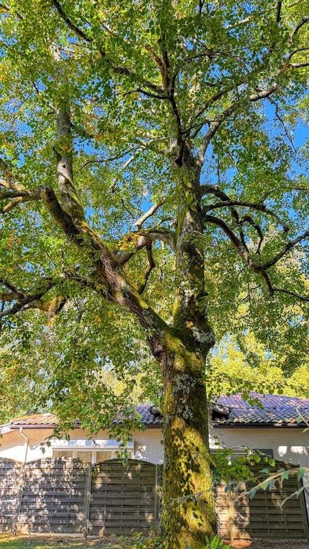 Propriété - 500 m² - 22 pièces