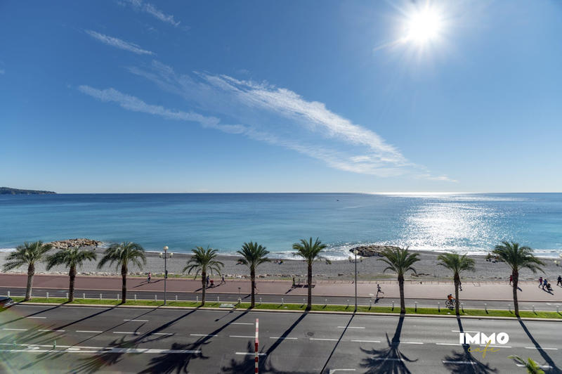 Appartement - 19 m² - 1 pièce