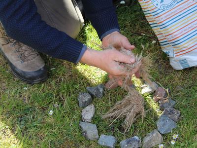 Petits Aventuriers à Terres d'Oiseaux
