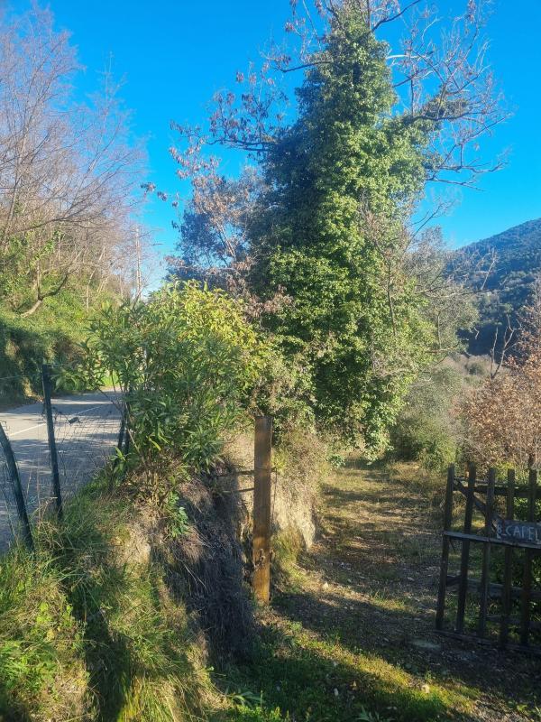 Terrain de loisirs - 1 520 m²