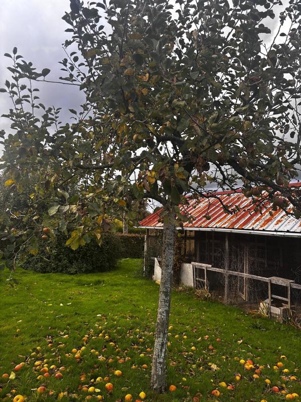 Maison - 83 m² - 7 pièces