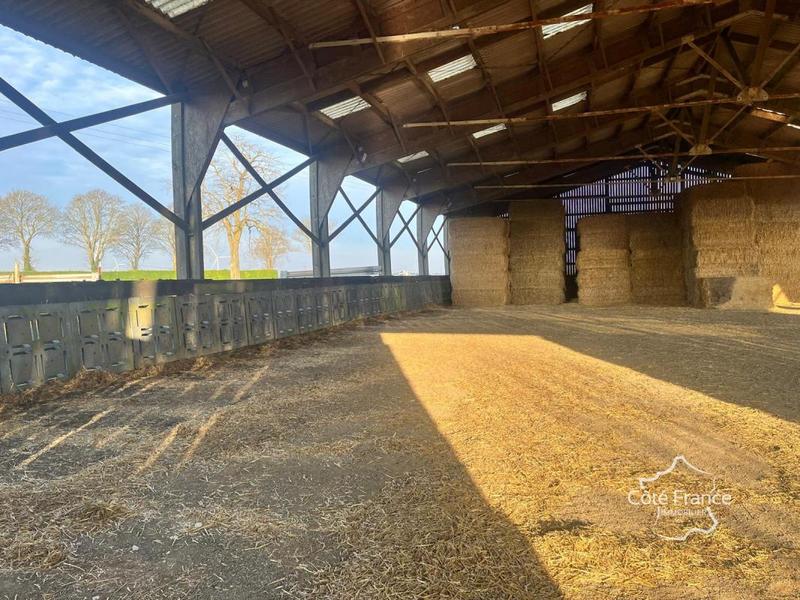 Ferme - 100 m² - 3 pièces