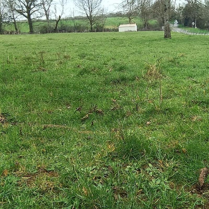 Terrain constructible - 1 636 m²