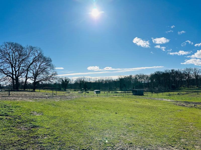 Maison ancienne - 140 m² - 5 pièces