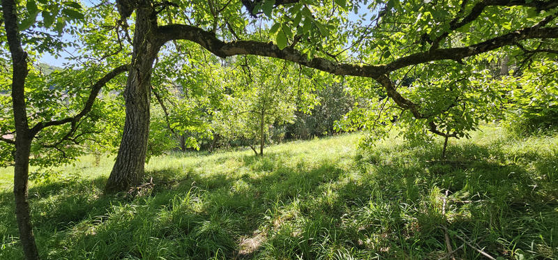 Propriété - 348 m² - 13 pièces