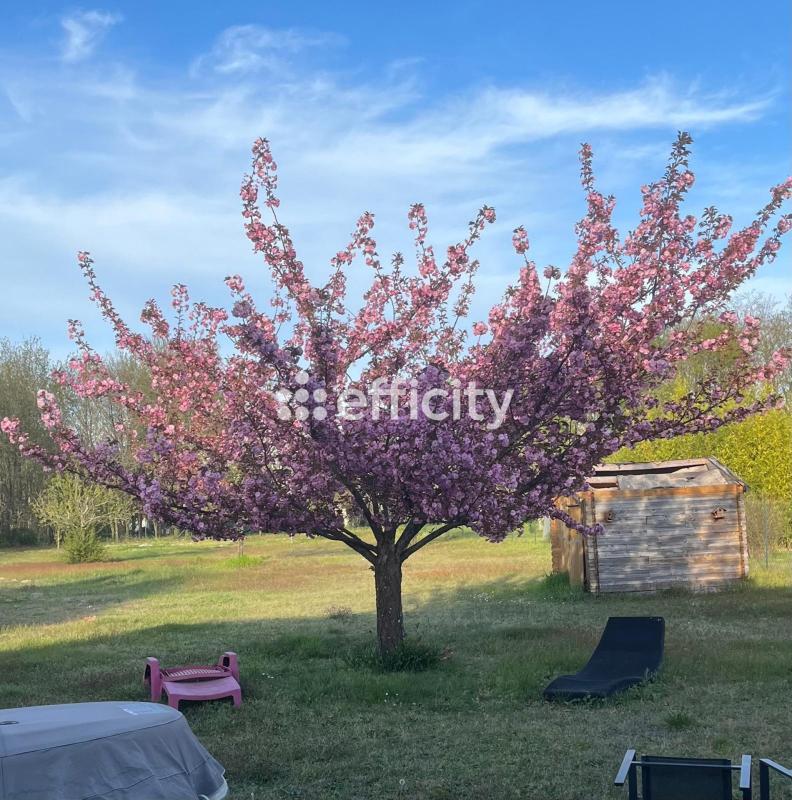 Maison - 171 m² - 7 pièces