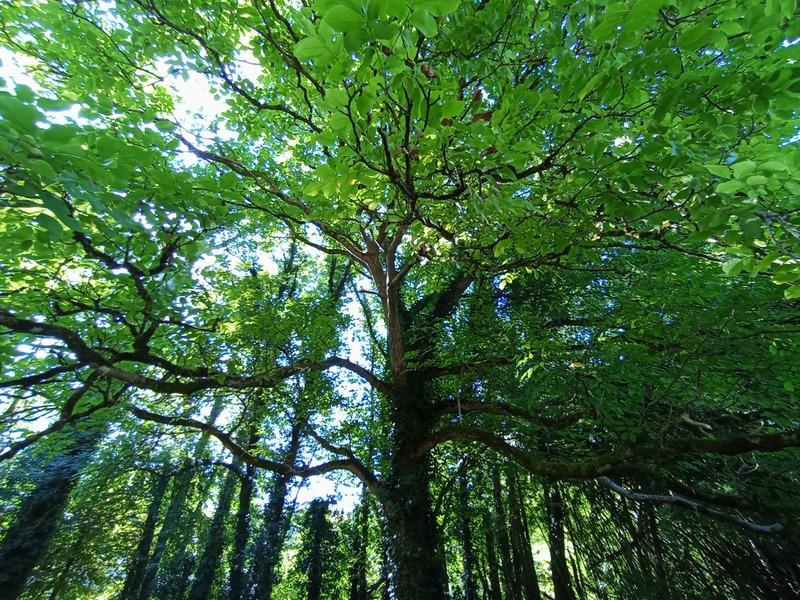 Maison - 151 m² - 6 pièces