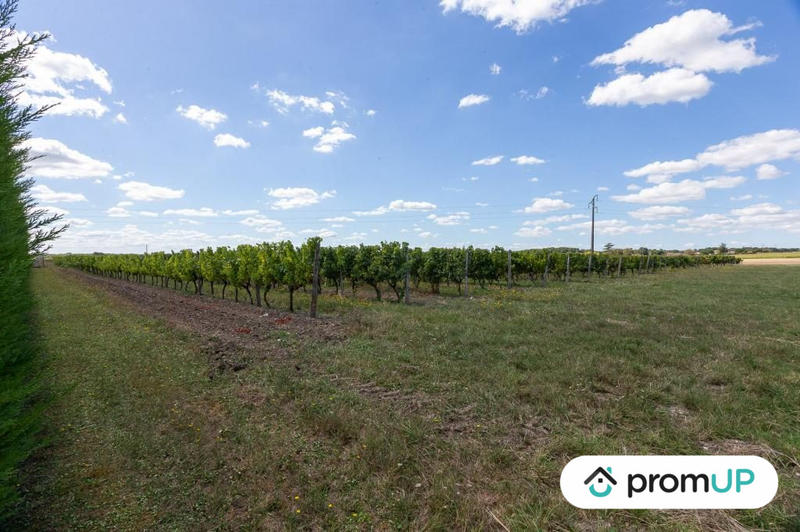 Terrain agricole - 3 000 m²