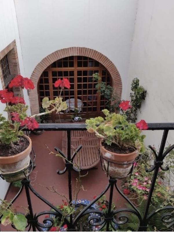 Immeuble - 367 m² - 10 pièces