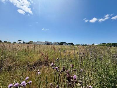 Terrain constructible - 343 m²