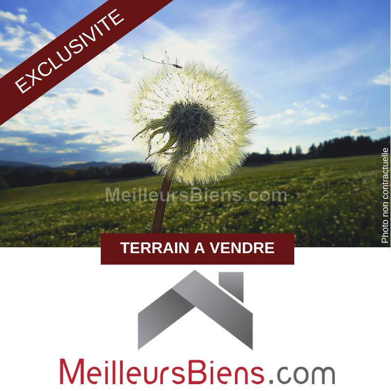 Terrain - 656 m²