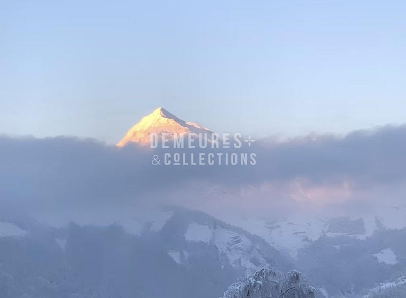 Châlet - 310 m² - 9 pièces