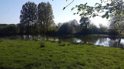 Terrain de loisirs - 5 915 m²