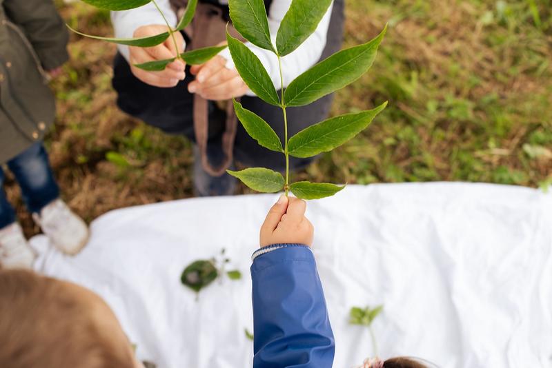 Sortie nature : balade sensorielle, spéciale 18 mois / 4 ans