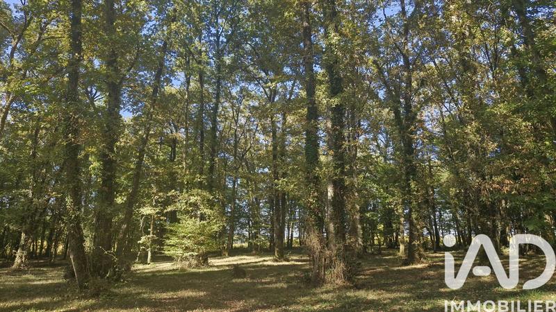 Maison - 400 m² - 17 pièces