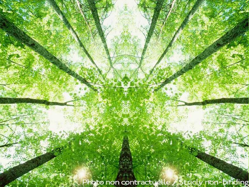 Appartement - 18 m² - 1 pièce