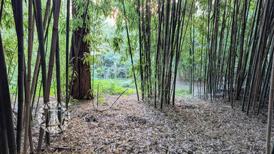 Terrain de loisirs - 3 010 m²