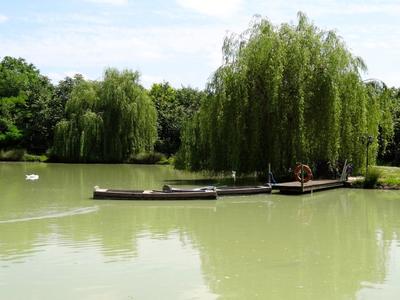 Manoir - 1 200 m² - 17 pièces