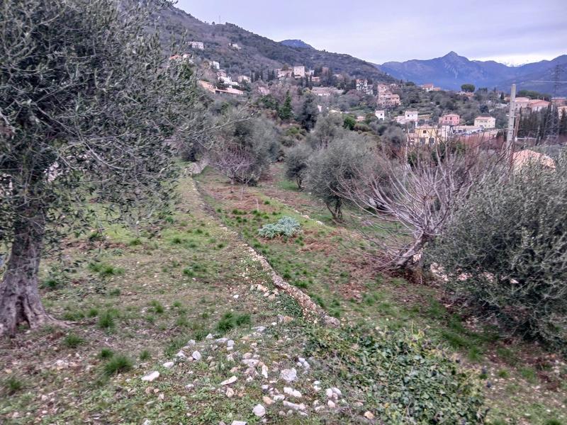 Terrain - 1 700 m²
