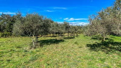 Terrain - 1 764 m²