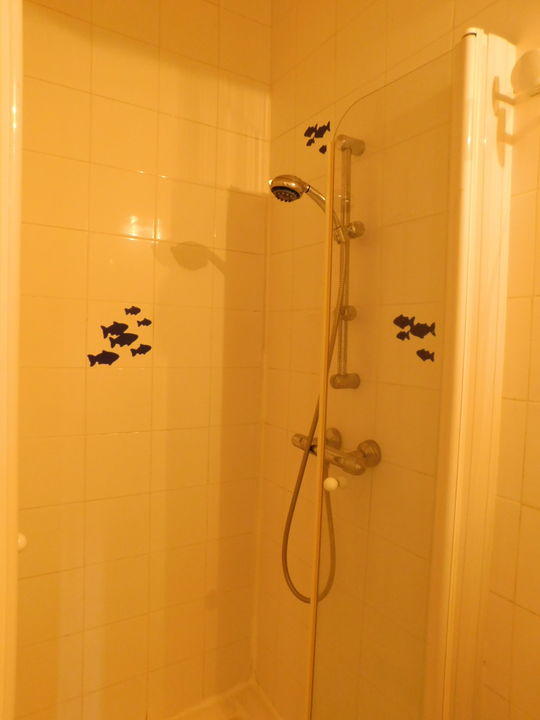 Appartement - 55 m² - 2 pièces