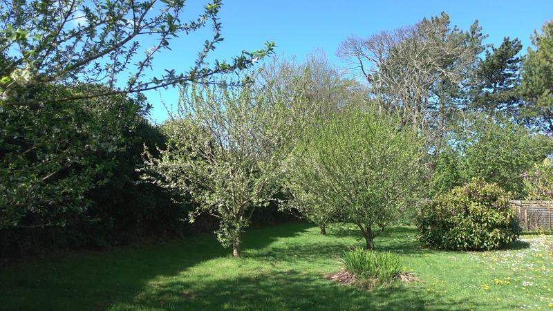 Maison - 186 m² - 7 pièces