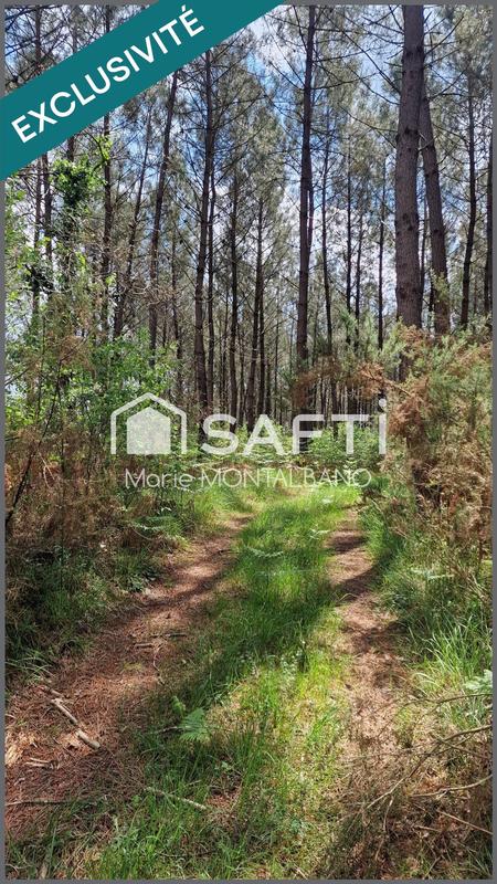 Terrain - 28 539 m²