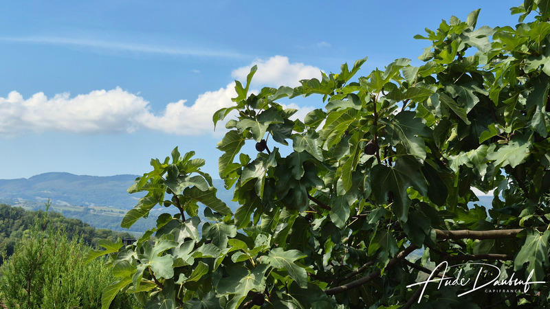 Maison - 157 m² - 6 pièces