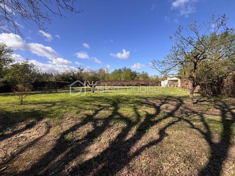 Terrain de loisirs - 2 320 m²