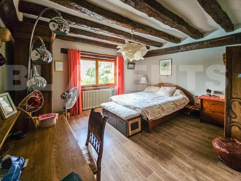 Maison en pierre - 282 m² - 9 pièces