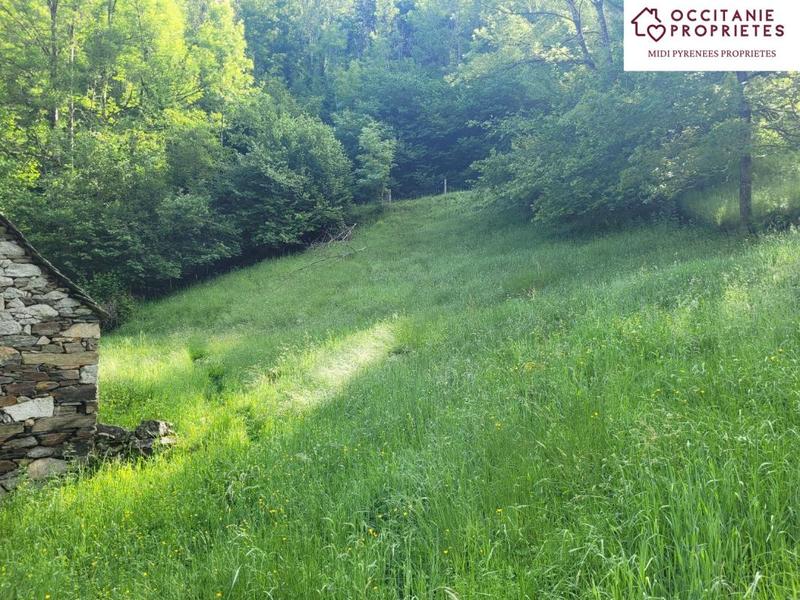 Maison - 30 m² - 2 pièces