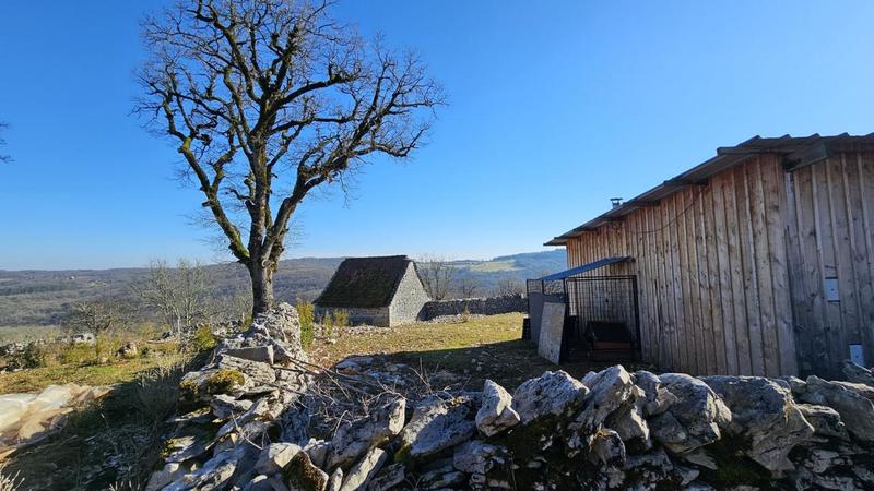 Terrain - 80 524 m²