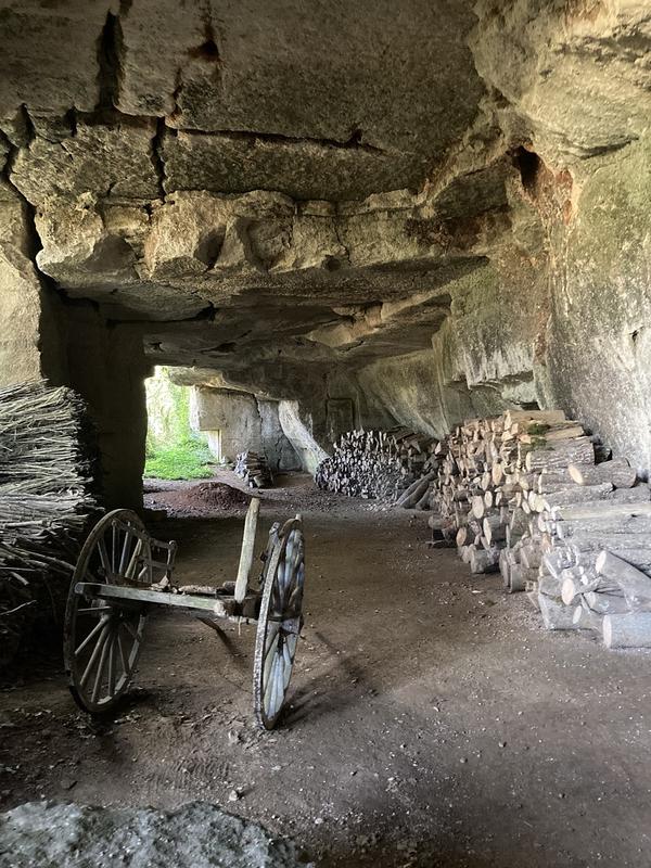 Visites guidées de l'intérieur du château avec présentation de vêtements de haute couture - Château en fête