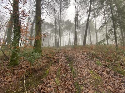 Terrain agricole - 19 150 m²