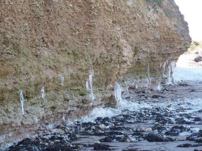 Du fossile à l'actuel au Cap Romain