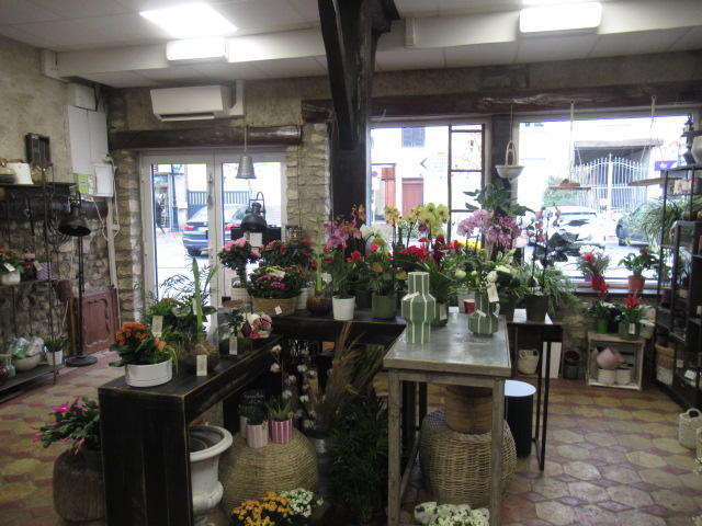 Appartement - 55 m² - 2 pièces