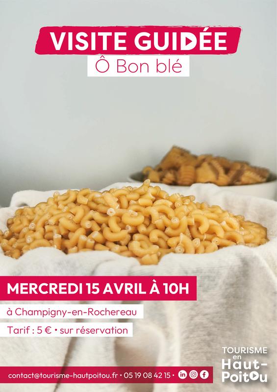 Visite de l'entreprise Ô Bon Blé