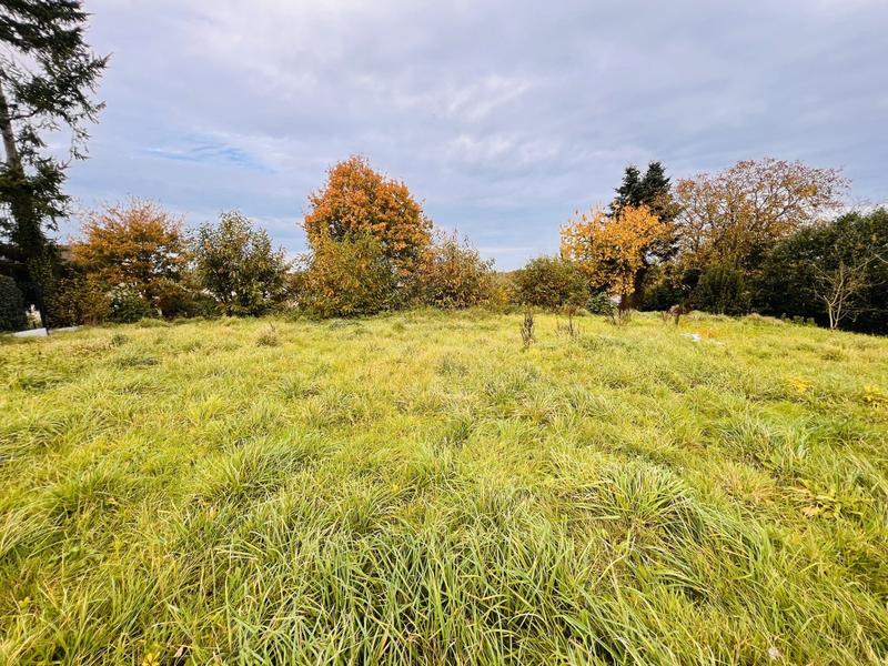 Terrain - 530 m²