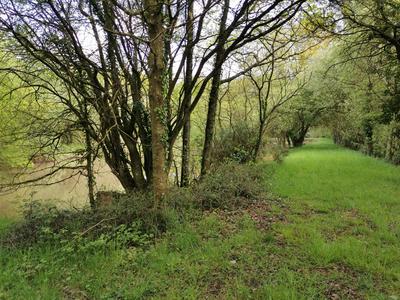 Terrain - 17 700 m²