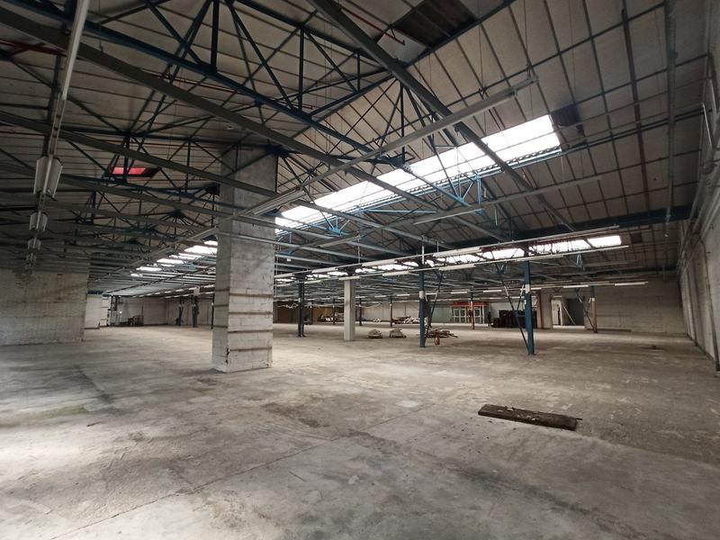 Local commercial - 5 000 m²