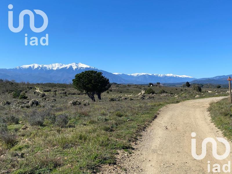 Maison de village - 132 m² - 5 pièces