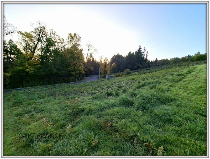 Terrain constructible - 1 520 m²