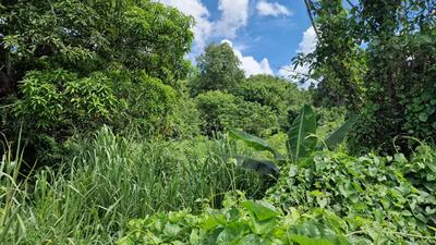 Terrain constructible - 697 m²