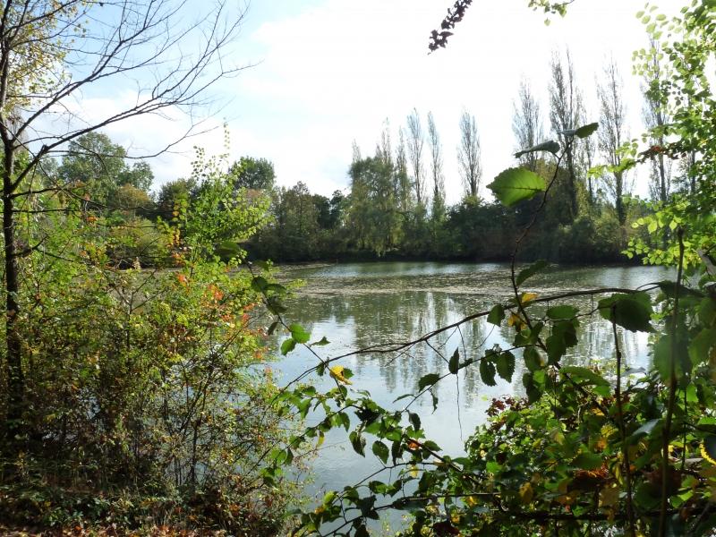 Nettoyage de la nature en bord de Loire
