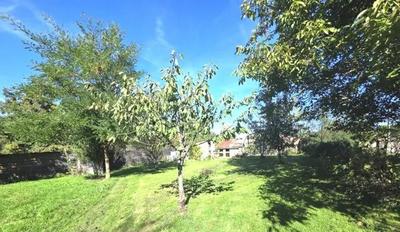 Maison - 182 m² - 5 pièces