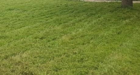 Terrain constructible - 602 m²