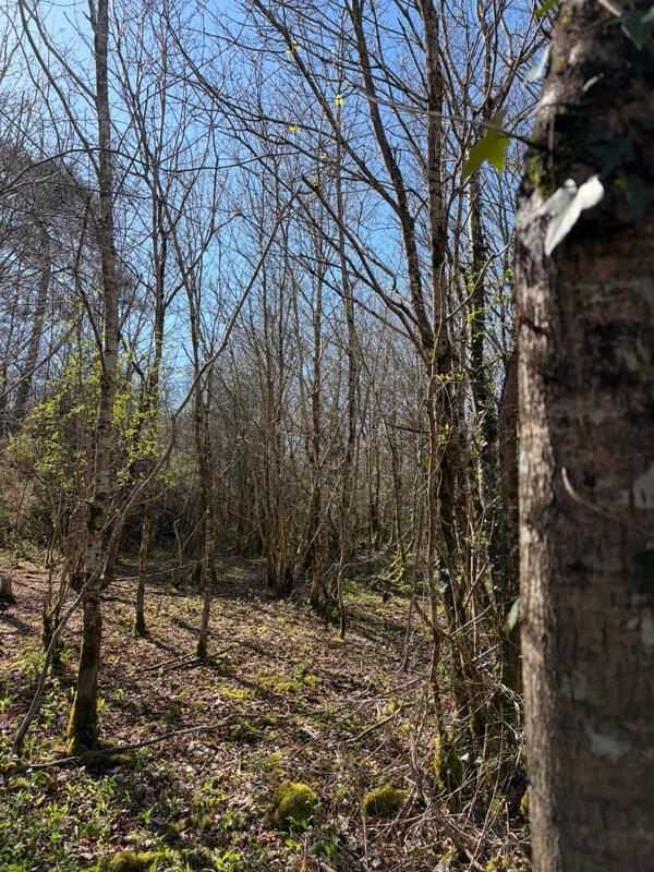 Terrain agricole - 2 800 m²