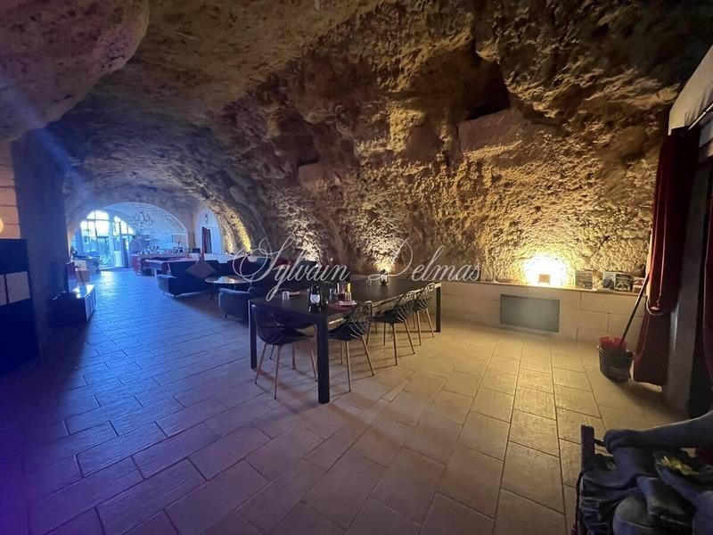 Propriété - 558 m² - 14 pièces