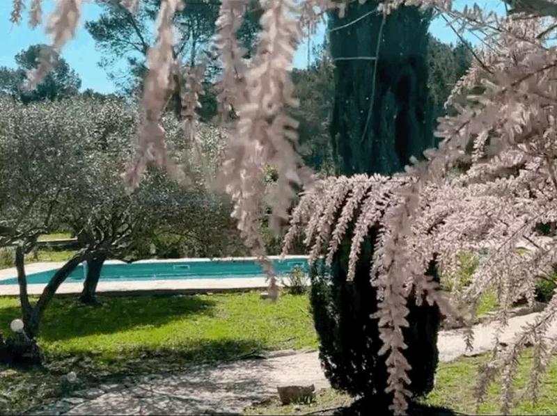 Mas - 153 m² - 6 pièces